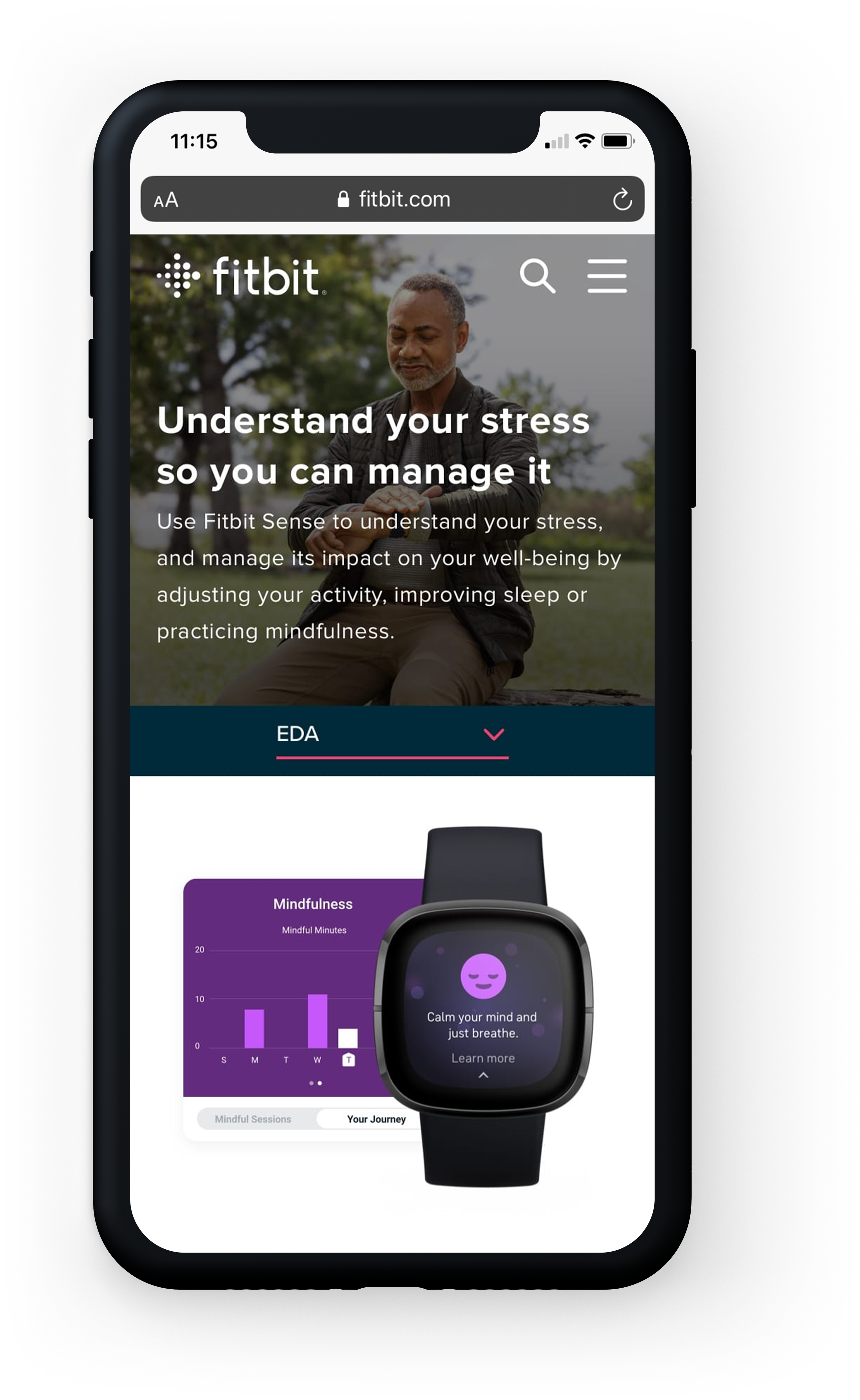 fitbit-phone